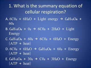 1. What is the summary equation of cellular respiration? ,[object Object],[object Object],[object Object],[object Object],[object Object]