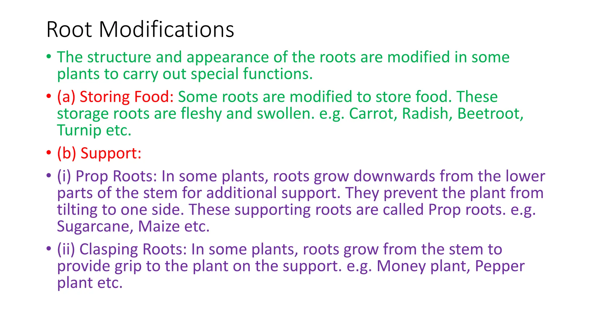 Ch-9_Sc_Plants-Structure-and-functions.pptx