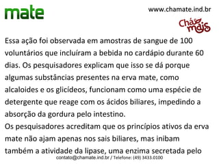Essa ação foi observada em amostras de sangue de 100
voluntários que incluíram a bebida no cardápio durante 60
dias. Os pesquisadores explicam que isso se dá porque
algumas substâncias presentes na erva mate, como
alcaloides e os glicídeos, funcionam como uma espécie de
detergente que reage com os ácidos biliares, impedindo a
absorção da gordura pelo intestino.
Os pesquisadores acreditam que os princípios ativos da erva
mate não ajam apenas nos sais biliares, mas inibam
também a atividade da lipase, uma enzima secretada pelo
contato@chamate.ind.br / Telefone: (49) 3433.0100
www.chamate.ind.brwww.chamate.ind.br
 