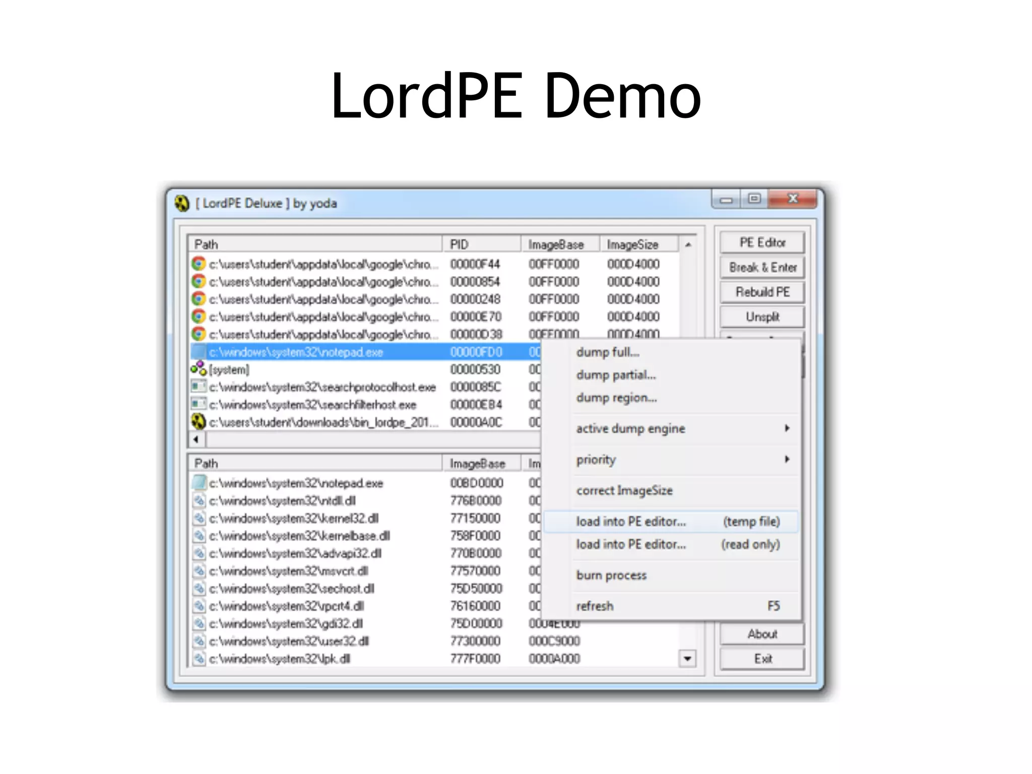 LordPE Demo
 