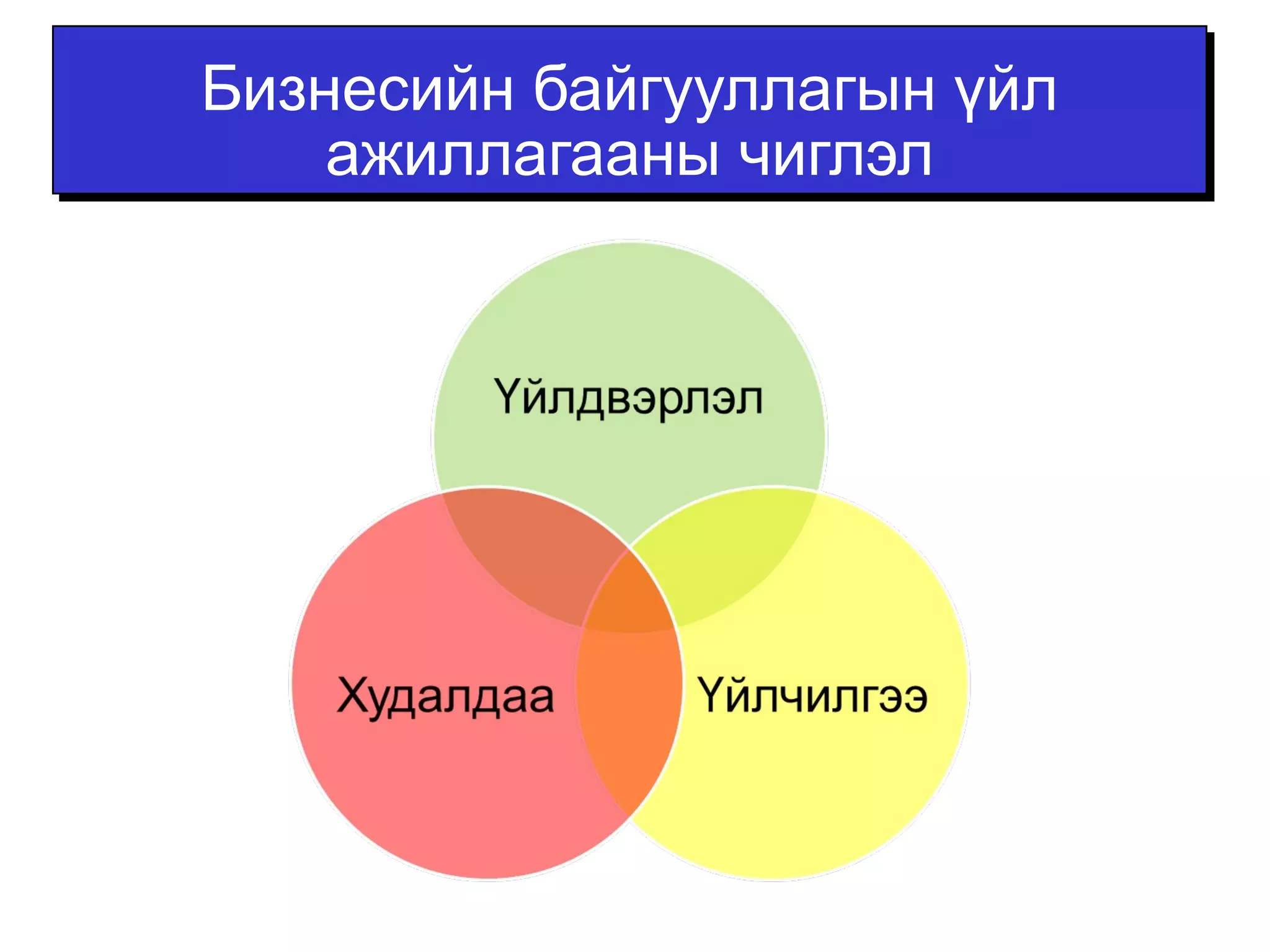 Бизнесийн байгууллагын үйл 
ажиллагааны чиглэл 
 