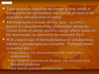    These processes transform the energy to heat, which is
    dissipated to the environment and must be devoted to the
    acquisition and utilization of energy.
   Thermodynamics (Greek: therme, heat + dynamics,
    power) is a description of the relationships among the
    various forms of energy and how energy affects matter on
    the macroscopic as opposed to the molecular level.
   With a knowledge of thermodynamics we can determine
    whether a physical process is possible. Thermodynamics
    is essential for:
       understanding why macromolecules fold to their native
        conformations
       how metabolic pathways are designed, why molecules cross
        biological membranes
       how muscles generate mechanical force
 