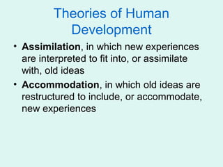 Theories of Human
           Development
• Assimilation, in which new experiences
  are interpreted to fit into, or assimilate
  with, old ideas
• Accommodation, in which old ideas are
  restructured to include, or accommodate,
  new experiences
 