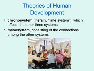 Theories of Human
             Development
• chronosystem (literally, “time system”), which
  affects the other three systems
• mesosystem, consisting of the connections
  among the other systems
 