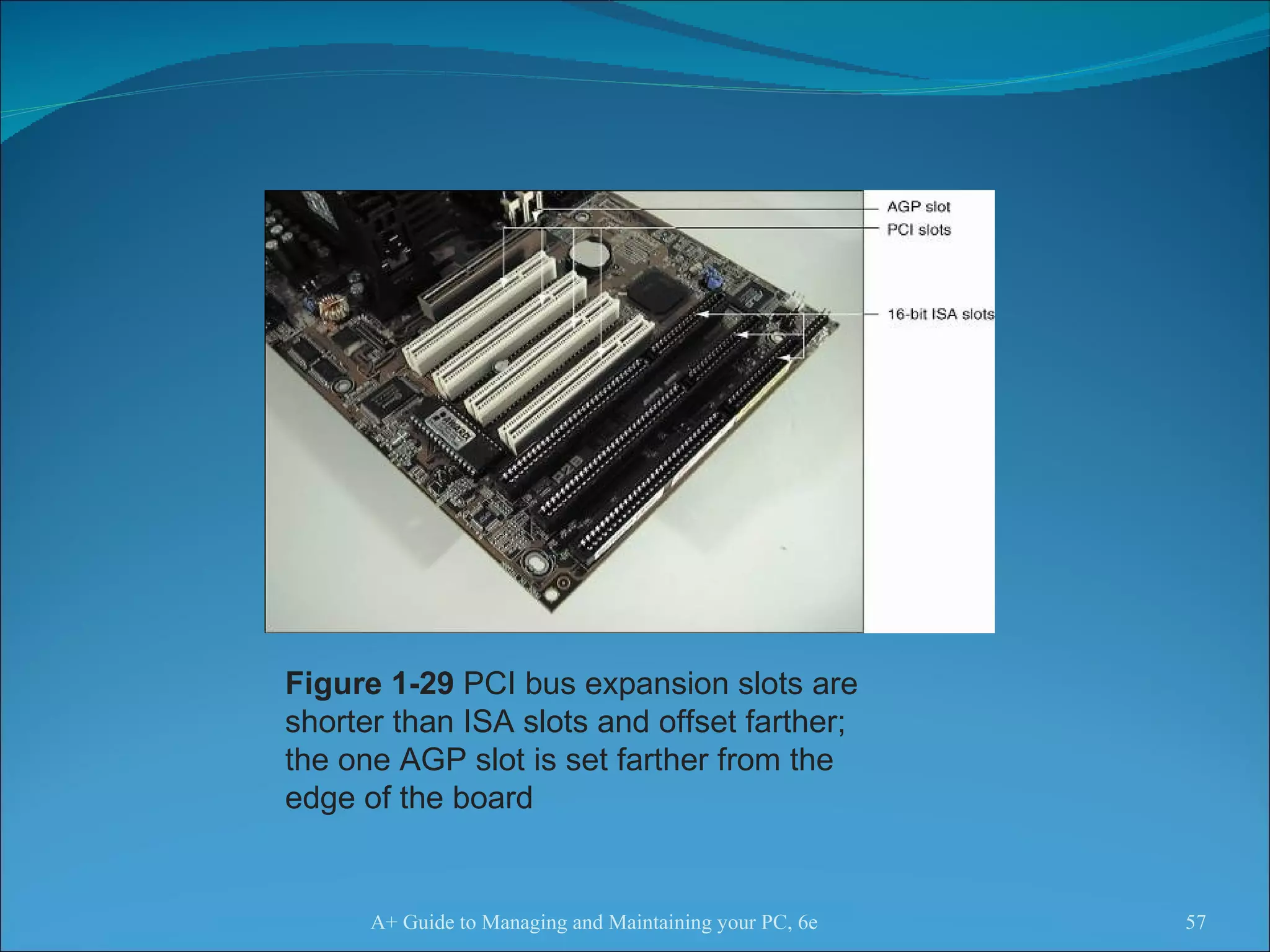 A+ Guide to Managing and Maintaining your PC, 6e Figure 1-29  PCI bus expansion slots are shorter than ISA slots and offset farther; the one AGP slot is set farther from the edge of the board 