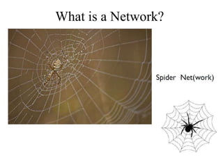 What is a Network?
 