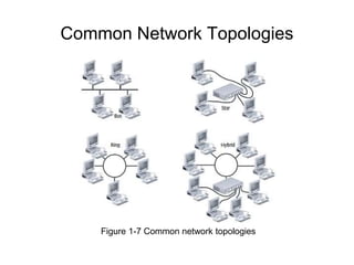 Common Network Topologies
Figure 1-7 Common network topologies
 