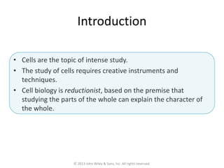ch01.ppt