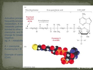 Activation process is where a step
frequently encountered in
metabolism. A component of
metabolic pathway (metabolite) is
bonded to other molecule,
coenzyme, and the free enrgy
change for breaking this new bond is
negative.
eg. A – metabolite, B – substance

A + coenzyme A-coenzyme
A-coenzyme + B AB + coenzyme

Example of coenzyme: coenzyme A
(CoA)



                                       Fig. 15-10, p.428
 