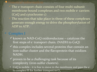 Essential information
   The e- transport chain consists of four multi-subunit
    membrane-bound complexes and two mobile e- carriers
    (CoQ and cytochrome c)
   The reaction that take place in three of these complexes
    generate enough energy to drive the phosphorylation of
    ADP to ATP.

• Complex I
   known as NAD-CoQ oxidoreductase – catalyzes the
    first steps of e- transport chain. (NADH to CoQ)
   this complex includes several proteins that contain an
    iron-sulfur cluster and the flavoprotein that oxidizes
    NADH.
   proven to be a challenging task because of its
    complexity (iron-sulfur clusters).
  • CoQ is mobile - it is free to move in the membrane and pass the e -
    to complex III for further transport to O2
 