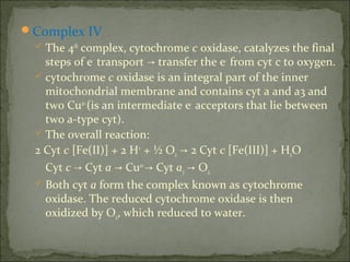 Complex IV
  The 4th complex, cytochrome c oxidase, catalyzes the final
   steps of e- transport → transfer the e- from cyt c to oxygen.
  cytochrome c oxidase is an integral part of the inner
   mitochondrial membrane and contains cyt a and a3 and
   two Cu2+ (is an intermediate e- acceptors that lie between
   two a-type cyt).
  The overall reaction:
 2 Cyt c [Fe(II)] + 2 H+ + ½ O2 → 2 Cyt c [Fe(III)] + H2O
   Cyt c → Cyt a → Cu2+ → Cyt a3 → O2
  Both cyt a form the complex known as cytochrome
   oxidase. The reduced cytochrome oxidase is then
   oxidized by O2, which reduced to water.
 