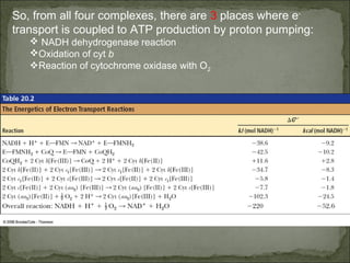 So, from all four complexes, there are 3 places where e-
transport is coupled to ATP production by proton pumping:
    NADH dehydrogenase reaction
   Oxidation of cyt b
   Reaction of cytochrome oxidase with O2
 