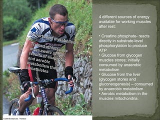 4 different sources of energy
available for working muscles
after rest:

• Creatine phosphate- reacts
directly in substrate-level
phosphorylation to produce
ATP
• Glucose from glycogen
muscles stores; initially
consumed by anaerobic
metabolism
• Glucose from the liver
(glycogen stores and
gluconeogenesis) – consumed
by anaerobic metabolism
• Aerobic metabolism in the
muscles mitochondria.
 