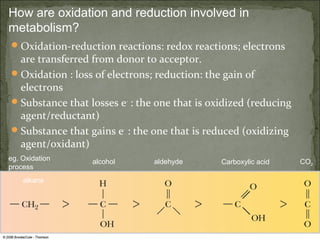 How are oxidation and reduction involved in
metabolism?
 Oxidation-reduction reactions: redox reactions; electrons
  are transferred from donor to acceptor.
 Oxidation : loss of electrons; reduction: the gain of
  electrons
 Substance that losses e- : the one that is oxidized (reducing
  agent/reductant)
 Substance that gains e- : the one that is reduced (oxidizing
  agent/oxidant)
eg. Oxidation     alcohol       aldehyde       Carboxylic acid    CO2
process
    alkane
 