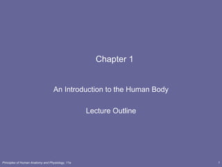 1 Chapter 1 An Introduction to the Human Body Lecture Outline 