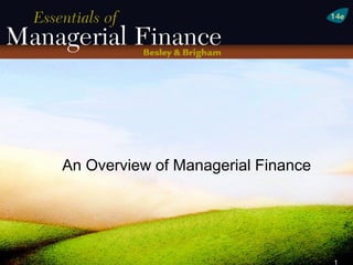 An Overview of Managerial Finance




                                    1
 