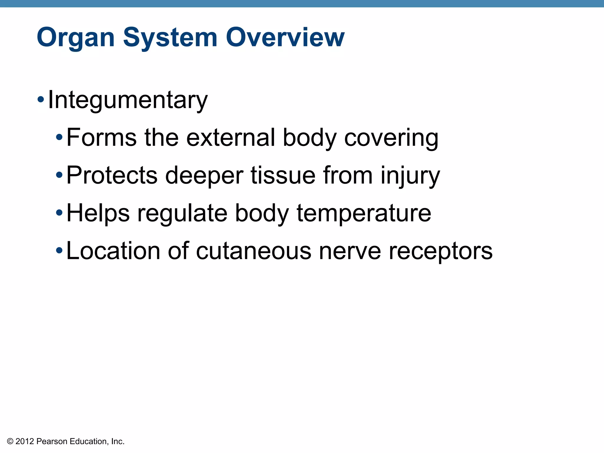 © 2012 Pearson Education, Inc.
Organ System Overview
•Integumentary
•Forms the external body covering
•Protects deeper tissue from injury
•Helps regulate body temperature
•Location of cutaneous nerve receptors
 