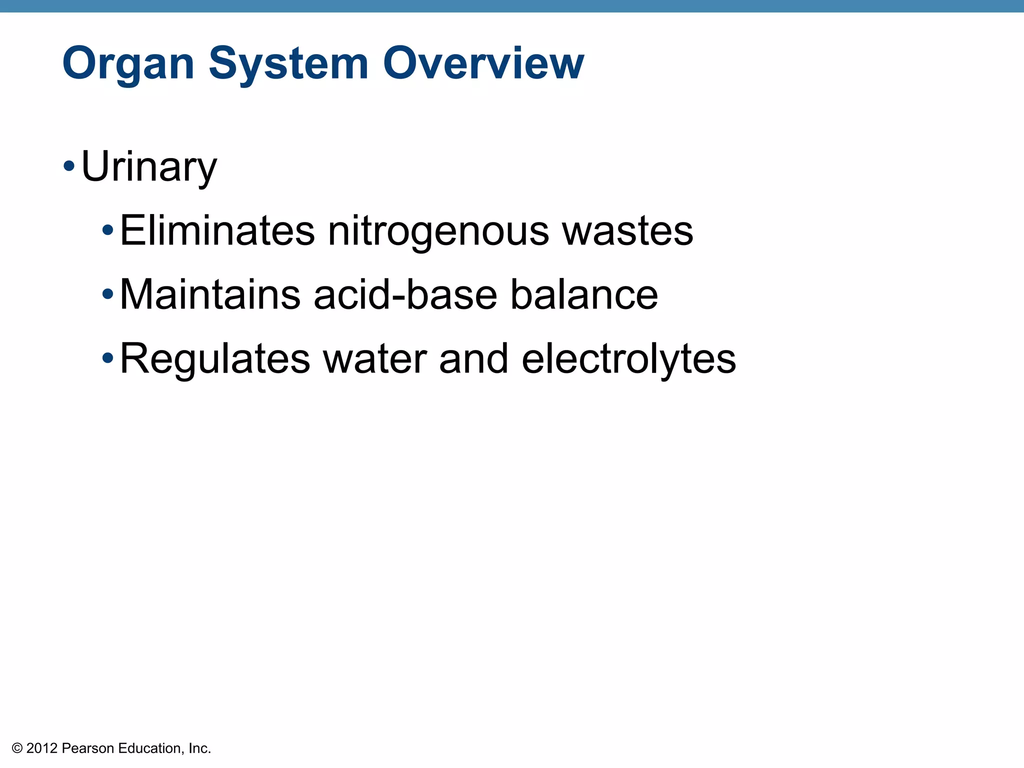 © 2012 Pearson Education, Inc.
Organ System Overview
•Urinary
•Eliminates nitrogenous wastes
•Maintains acid-base balance
•Regulates water and electrolytes
 