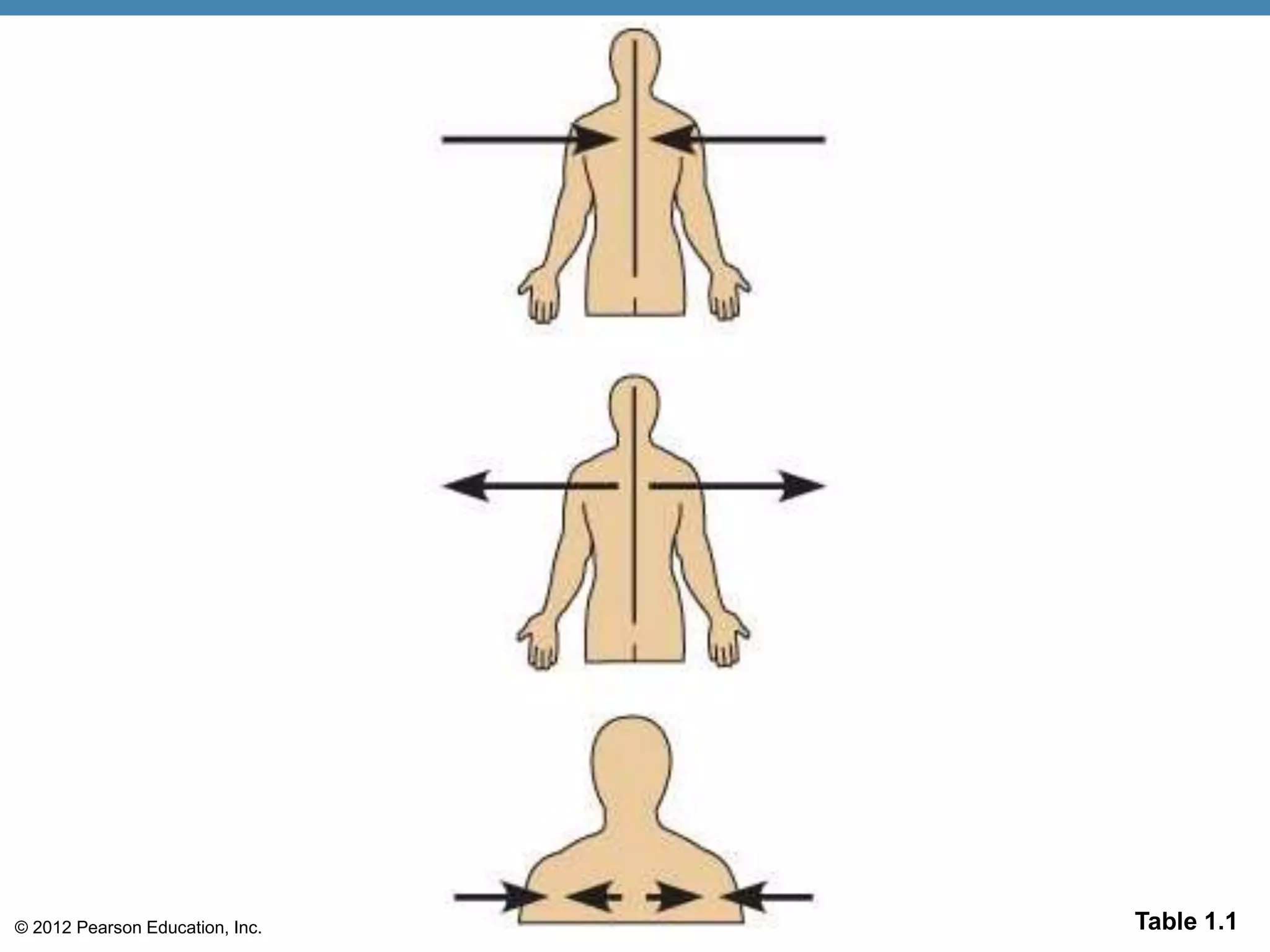 © 2012 Pearson Education, Inc. Table 1.1
 
