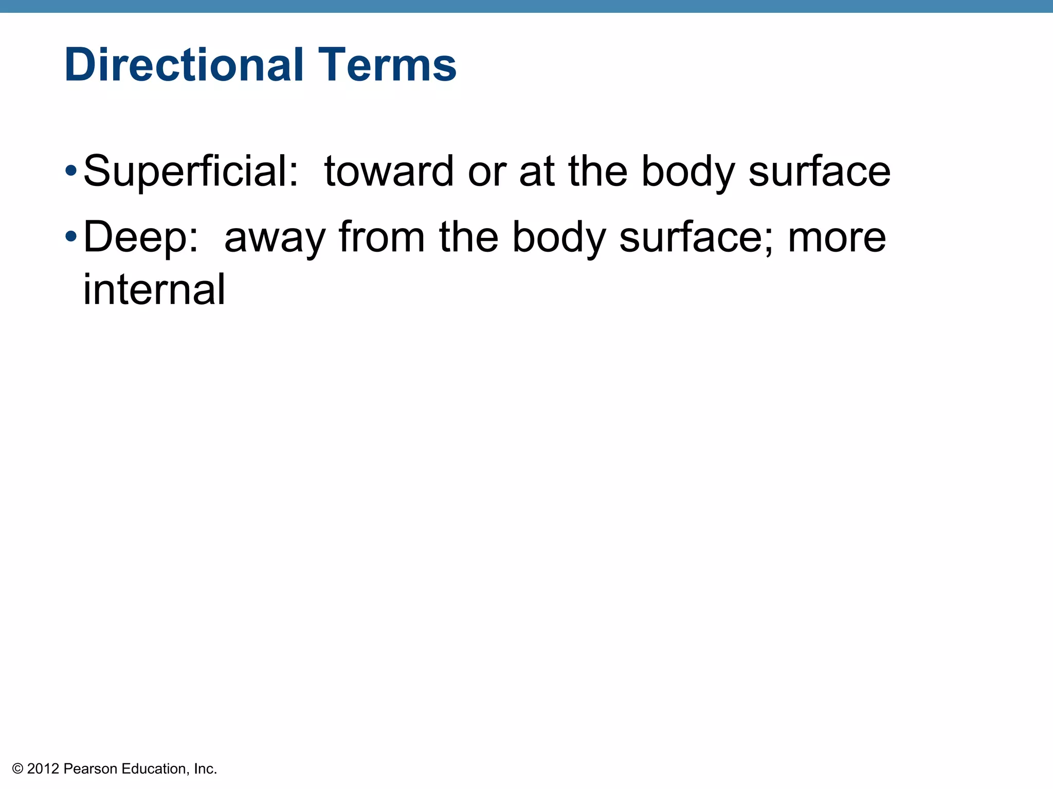 © 2012 Pearson Education, Inc.
Directional Terms
•Superficial: toward or at the body surface
•Deep: away from the body surface; more
internal
 