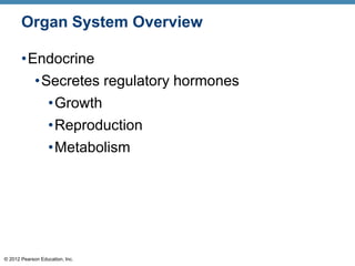 © 2012 Pearson Education, Inc.
Organ System Overview
•Endocrine
•Secretes regulatory hormones
•Growth
•Reproduction
•Metabolism
 