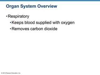© 2012 Pearson Education, Inc.
Organ System Overview
•Respiratory
•Keeps blood supplied with oxygen
•Removes carbon dioxide
 