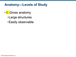 © 2012 Pearson Education, Inc.
Anatomy—Levels of Study
•1. Gross anatomy
•Large structures
•Easily observable
 