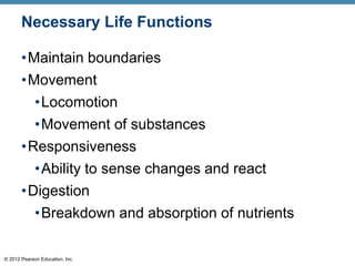 © 2012 Pearson Education, Inc.
Necessary Life Functions
•Maintain boundaries
•Movement
•Locomotion
•Movement of substances
•Responsiveness
•Ability to sense changes and react
•Digestion
•Breakdown and absorption of nutrients
 