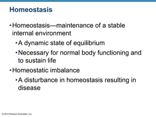 © 2012 Pearson Education, Inc.
Homeostasis
•Homeostasis—maintenance of a stable
internal environment
•A dynamic state of equilibrium
•Necessary for normal body functioning and
to sustain life
•Homeostatic imbalance
•A disturbance in homeostasis resulting in
disease
 