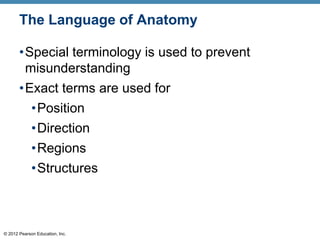 © 2012 Pearson Education, Inc.
The Language of Anatomy
•Special terminology is used to prevent
misunderstanding
•Exact terms are used for
•Position
•Direction
•Regions
•Structures
 