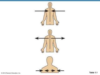 © 2012 Pearson Education, Inc. Table 1.1
 