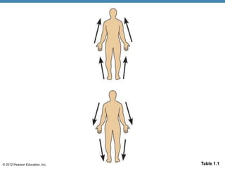 © 2012 Pearson Education, Inc. Table 1.1
 