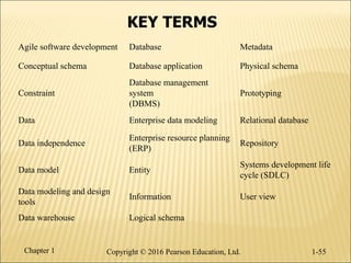 Ch01 - The Database Environment and Development Process.pptx.pdf