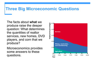 Three Big Microeconomic Questions The facts about  what  we produce raise the deeper question: What determines the quantities of realtor services, new homes, DVD players, and corn that we produce? Microeconomics provides some answers to these questions. 