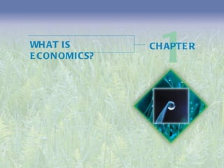 WHAT IS ECONOMICS? 1 CHAPTER 