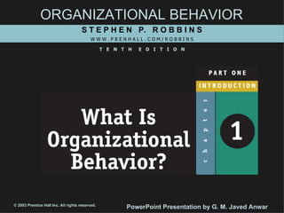ORGANIZATIONAL BEHAVIOR S T E P H E N  P.  R O B B I N S W W W . P R E N H A L L . C O M / R O B B I N S T  E  N  T  H  E  D  I  T  I  O  N © 2003 Prentice Hall Inc. All rights reserved. PowerPoint Presentation by G. M. Javed Anwar 