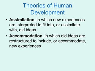 Theories of Human
Development
• Assimilation, in which new experiences
are interpreted to fit into, or assimilate
with, old ideas
• Accommodation, in which old ideas are
restructured to include, or accommodate,
new experiences
 