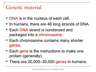 © 2012 John Wiley & Sons, Inc. All rights reserved.
Genetic material
 DNA is in the nucleus of each cell.
 In humans, there are 46 long strands of DNA.
 Each DNA strand is condensed and
packaged into a chromosome.
 Each chromosome contains many shorter
genes.
 Each gene is the instructions to make one
protein (generally).
 There are 20,000–30,000 genes in humans.
 