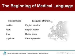 The Beginning of Medical Language


   Medical Word                                  Language of Origin

 bladder                           English blaedre

 heart                             English heorte

 drug                              Dutch droog

 physician                         French physicien




  Florida State College of Jacksonville | Professor: Michael L. Whitchurch, MHS   Copyright ©2011 All rights reserved.
 
