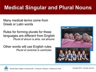 Medical Singular and Plural Nouns

Many medical terms come from
Greek or Latin words

Rules for forming plurals for these
languages are different from English
         Plural of atrium is atria, not atriums

Other words will use English rules
             Plural of ventricle is ventricles




    Florida State College of Jacksonville | Professor: Michael L. Whitchurch, MHS   Copyright ©2011 All rights reserved.
 