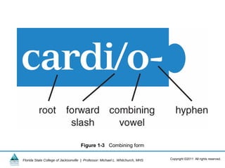 Figure 1-3 Combining form

Florida State College of Jacksonville | Professor: Michael L. Whitchurch, MHS   Copyright ©2011 All rights reserved.
 