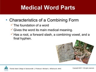Medical Word Parts

• Characteristics of a Combining Form
    The foundation of a word
    Gives the word its main medical meaning.
    Has a root, a forward slash, a combining vowel, and a
     final hyphen.




  Florida State College of Jacksonville | Professor: Michael L. Whitchurch, MHS   Copyright ©2011 All rights reserved.
 