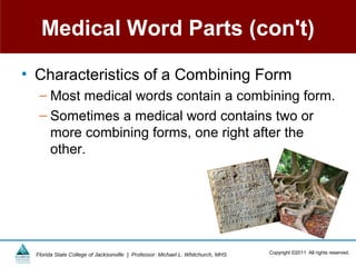 Medical Word Parts (con't)

• Characteristics of a Combining Form
   – Most medical words contain a combining form.
   – Sometimes a medical word contains two or
     more combining forms, one right after the
     other.




  Florida State College of Jacksonville | Professor: Michael L. Whitchurch, MHS   Copyright ©2011 All rights reserved.
 