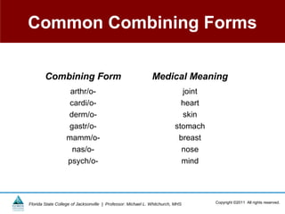 Common Combining Forms

        Combining Form                                        Medical Meaning
                   arthr/o-                                                joint
                   cardi/o-                                                heart
                  derm/o-                                                  skin
                  gastr/o-                                               stomach
                  mamm/o-                                                 breast
                    nas/o-                                                 nose
                  psych/o-                                                 mind




Florida State College of Jacksonville | Professor: Michael L. Whitchurch, MHS      Copyright ©2011 All rights reserved.
 