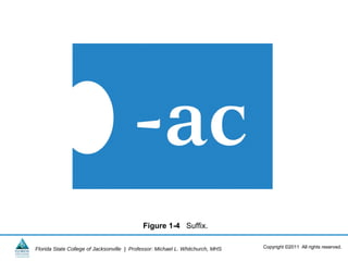 Figure 1-4 Suffix.

Florida State College of Jacksonville | Professor: Michael L. Whitchurch, MHS   Copyright ©2011 All rights reserved.
 