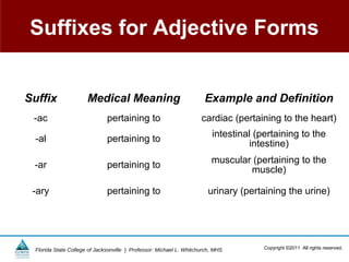 Suffixes for Adjective Forms


Suffix                 Medical Meaning                                 Example and Definition
 -ac                           pertaining to                          cardiac (pertaining to the heart)
                                                                          intestinal (pertaining to the
 -al                           pertaining to                                       intestine)
                                                                          muscular (pertaining to the
 -ar                           pertaining to
                                                                                  muscle)

 -ary                          pertaining to                             urinary (pertaining the urine)




  Florida State College of Jacksonville | Professor: Michael L. Whitchurch, MHS        Copyright ©2011 All rights reserved.
 