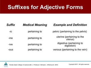 Suffixes for Adjective Forms


Suffix                 Medical Meaning                                 Example and Definition

  -ic                          pertaining to                          pelvic (pertaining to the pelvis)

                                                                            uterine (pertaining to the
 -ine                          pertaining to                                         uterus)
                                                                              digestive (pertaining to
 -ive                          pertaining to                                         digestion)
 -ous                          pertaining to                           venous (pertaining to the vein)




  Florida State College of Jacksonville | Professor: Michael L. Whitchurch, MHS         Copyright ©2011 All rights reserved.
 