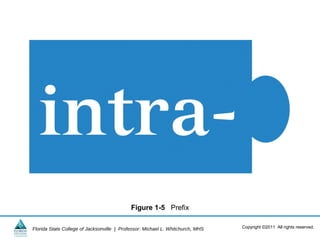 Figure 1-5 Prefix

Florida State College of Jacksonville | Professor: Michael L. Whitchurch, MHS   Copyright ©2011 All rights reserved.
 