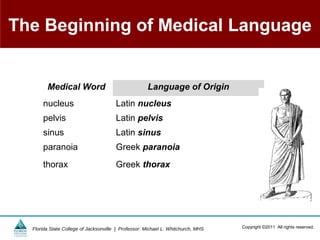 The Beginning of Medical Language


        Medical Word                                 Language of Origin
      nucleus                          Latin nucleus
      pelvis                           Latin pelvis
      sinus                            Latin sinus
      paranoia                         Greek paranoia
      thorax                           Greek thorax




  Florida State College of Jacksonville | Professor: Michael L. Whitchurch, MHS   Copyright ©2011 All rights reserved.
 