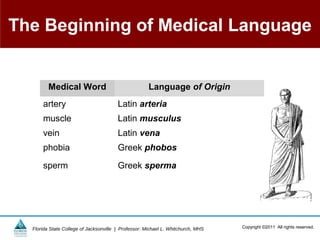 The Beginning of Medical Language


         Medical Word                                 Language of Origin
      artery                            Latin arteria
      muscle                            Latin musculus
      vein                              Latin vena
      phobia                            Greek phobos

      sperm                             Greek sperma




  Florida State College of Jacksonville | Professor: Michael L. Whitchurch, MHS   Copyright ©2011 All rights reserved.
 